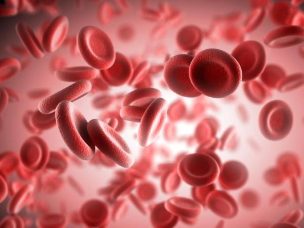 Quanto tempo tem que esperar para doar sangue após se tatuar? - Passo 4