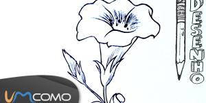 Como desenhar uma flor de forma fácil