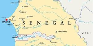 Que vacinas preciso para viajar para o Senegal