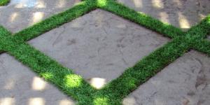 Qual grama é ideal para a sombra