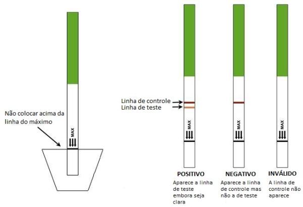 Como usar um teste de gravidez - Usar um teste de gravidez