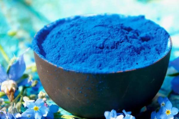 Espirulina azul: o que é, para que serve