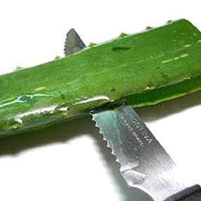 Como fazer suco de aloe vera - Passo 2