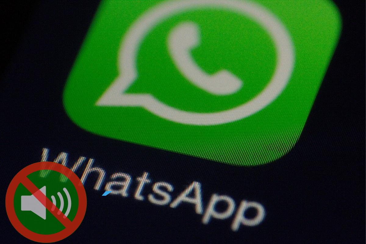 WhatsApp sem som, como resolver?