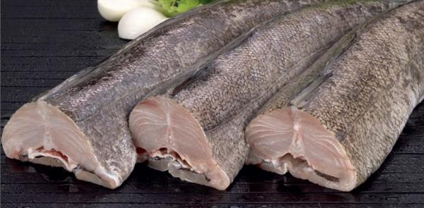 Quais são os peixes brancos - Peixes brancos: Merluza