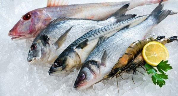 Quais são os peixes brancos