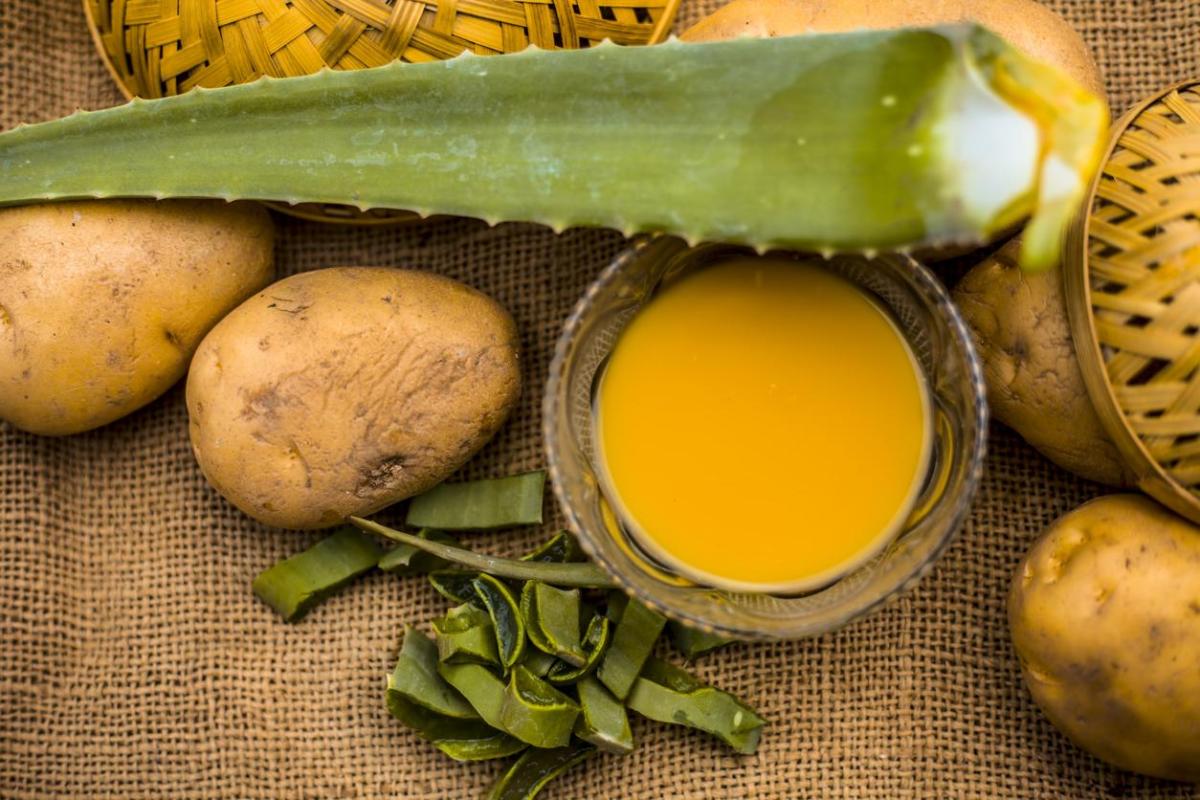 Para que serve o suco de batata com babosa