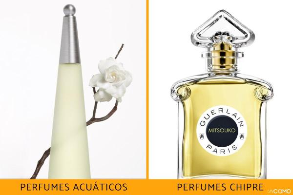 Tipos de perfume - Perfumes chipre