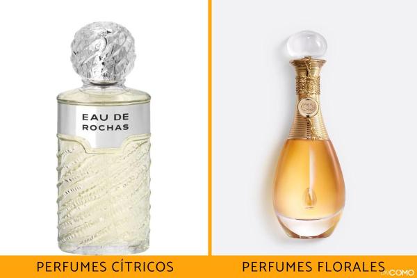 Tipos de perfume - Perfumes florais