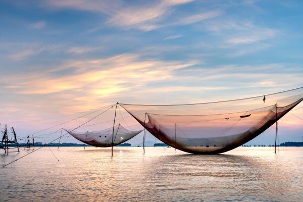 Cidades da Índia: guia de destinos - Kochi