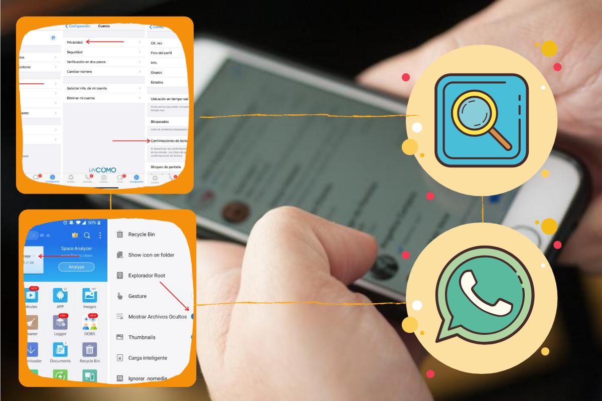 Como visualizar o status do WhatsApp e não mostrar