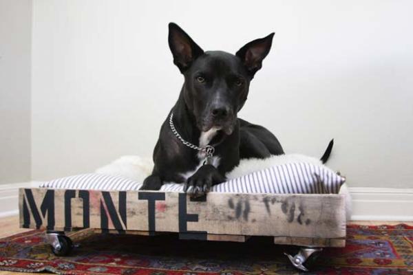 Como fazer uma cama para cachorros