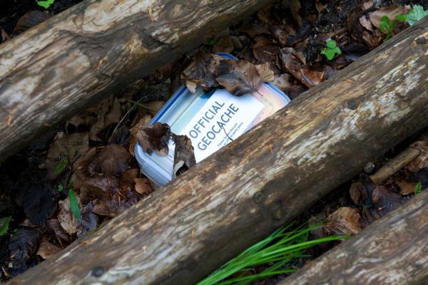 Geocaching: o que é, como funciona, tipos e como começar
