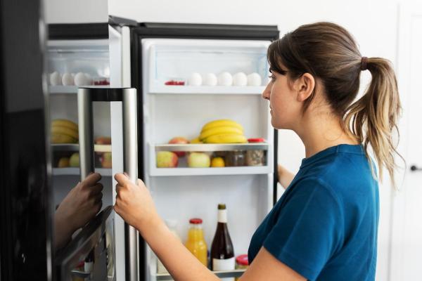 Geladeira apitando com a porta fechada: razões e o que fazer - Sensores da porta