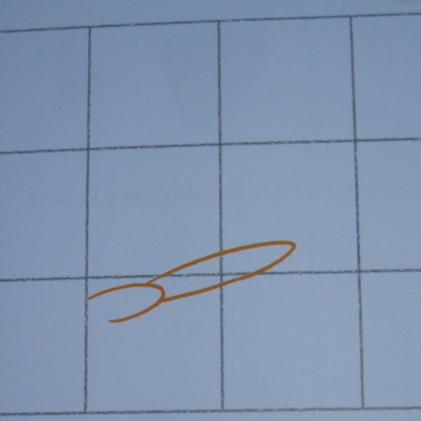 Como desenhar uma borboleta - Passo 1
