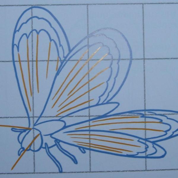 Como desenhar uma borboleta - Passo 4