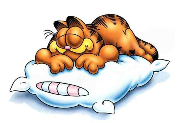 Gatos de desenhos animados - Garfield