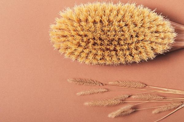 Tipos de escova de cabelo: descubra qual escolher - Escova de cerdas naturais