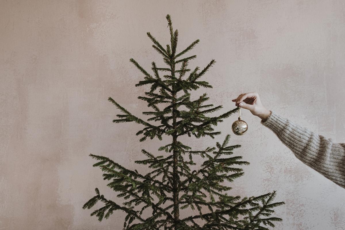 Quando desmontar a árvore de Natal