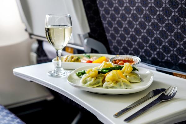Pode levar comida no avião?