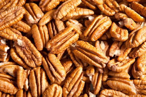 Noz pecan: benefícios e propriedades - Origem da noz pecan