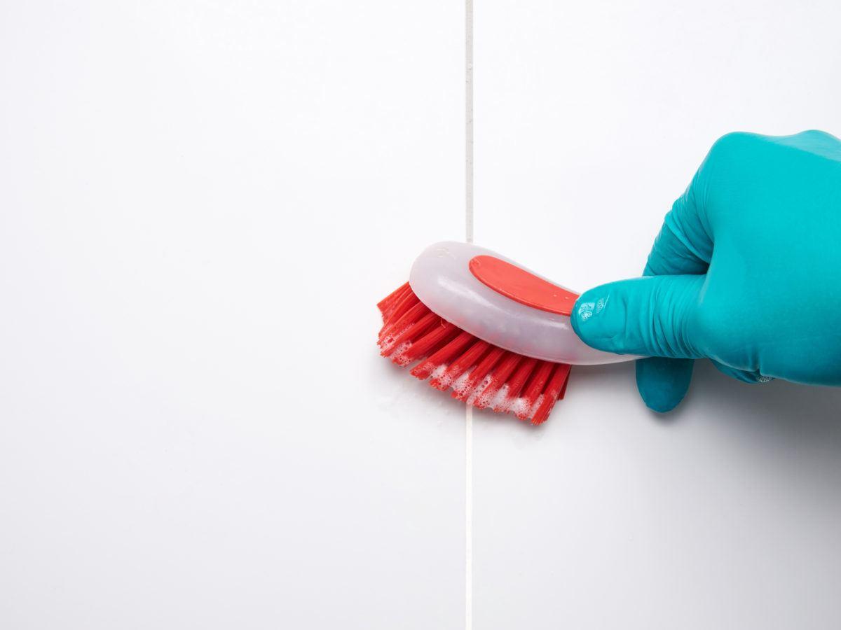 Como acabar com mosquitinhos de banheiro