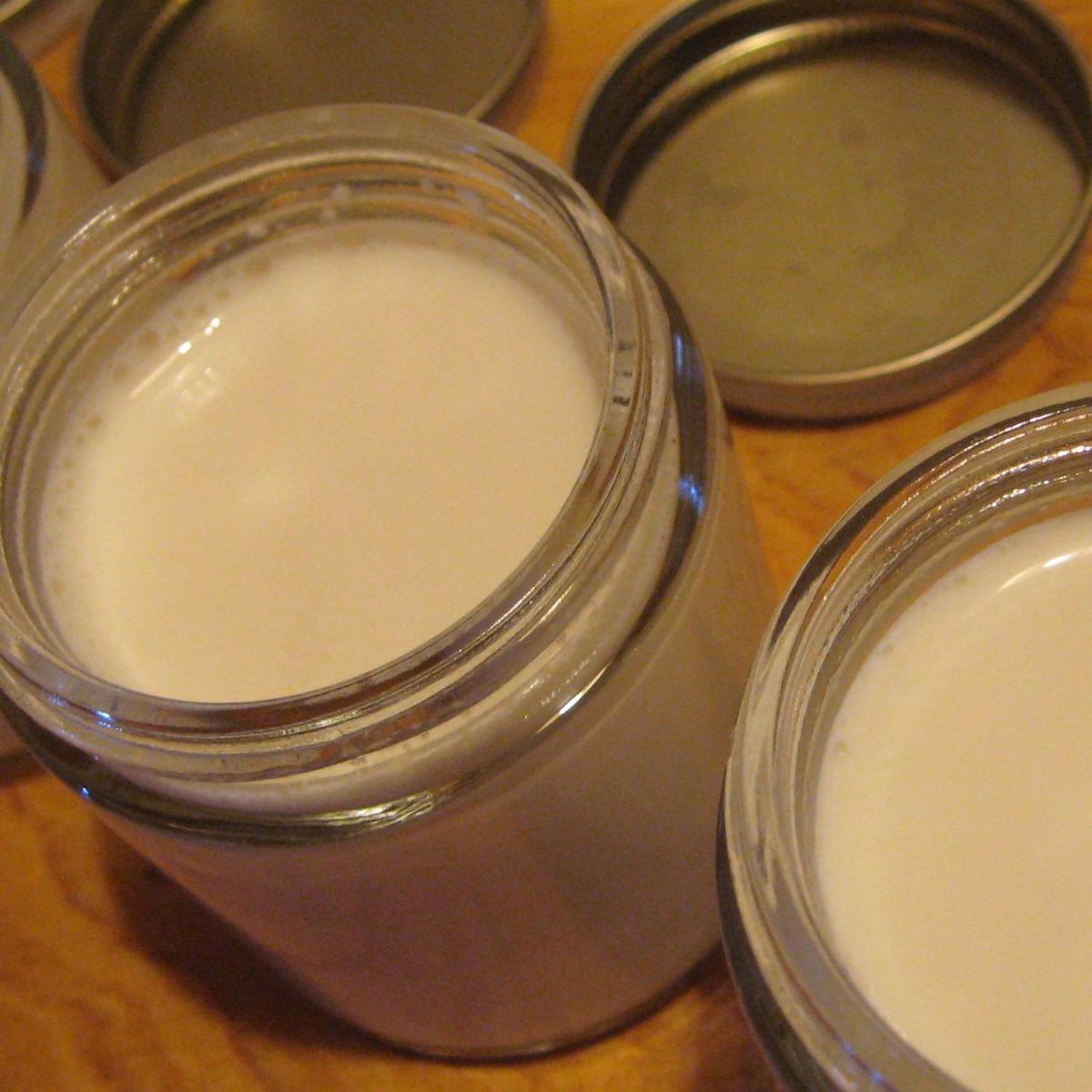 Como fazer um iogurte com leite cru