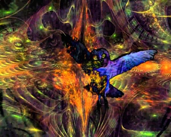 Quais os efeitos da ayahuasca
