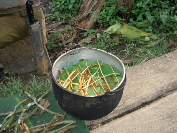Quais os efeitos da ayahuasca - Passo 1