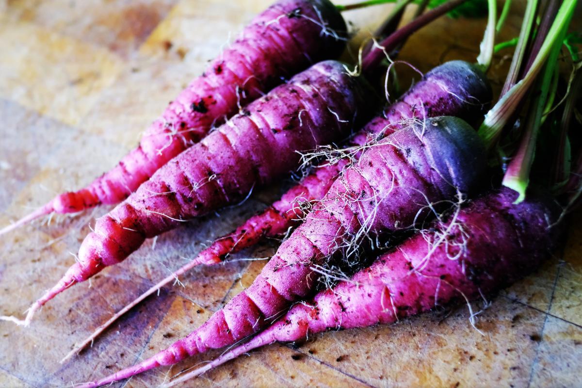 Qual é a cor original da cenoura?