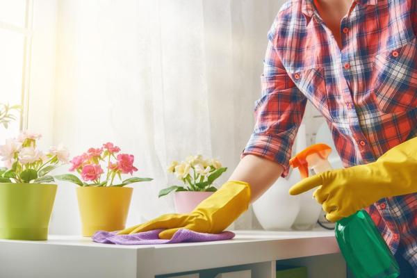 Como desinfetar a casa contra vírus e bactérias