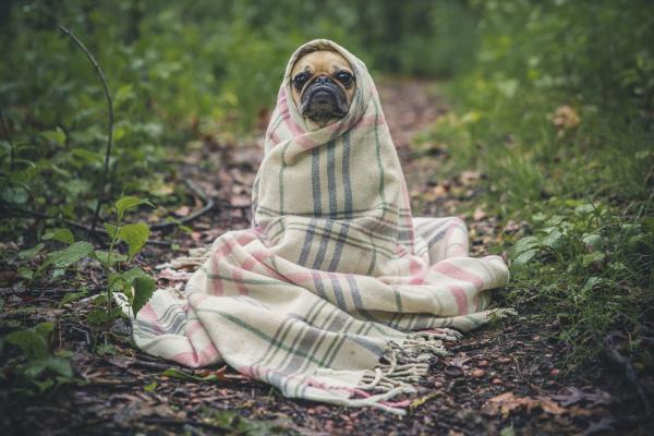 Agosto é frio ou calor?