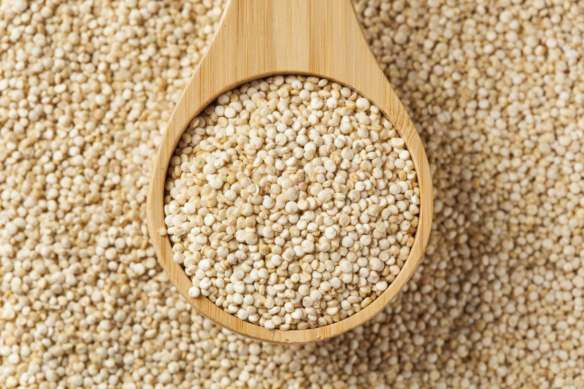 Comer quinoa crua faz mal? Resposta aqui!