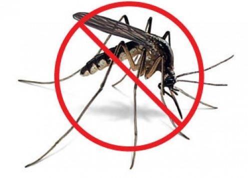 Como prevenir a chikungunya