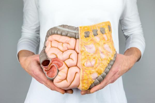Remédios caseiros para duodeno inflamado - os mais eficazes - Duodeno inflamado - sintomas e causas