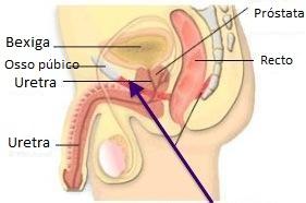 Exercícios de Kegel para homens - Passo 2