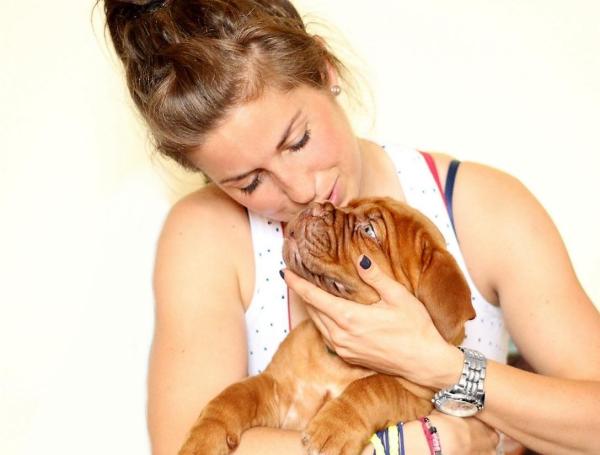 Como cuidar de um cão maltratado - Passo 5