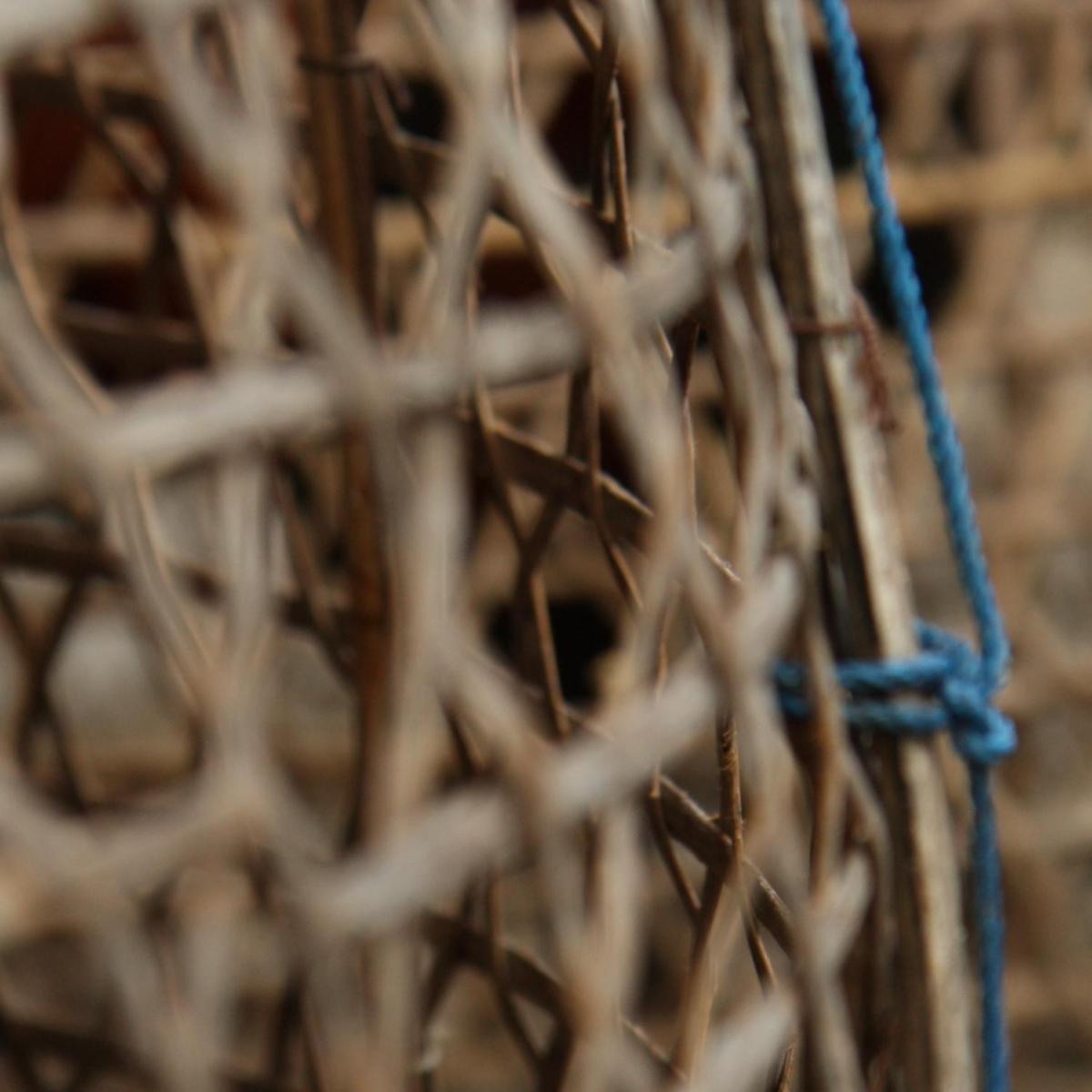 Como construir uma armadilha de laço