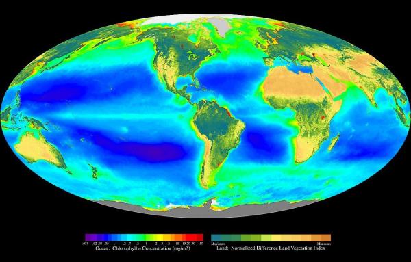 O que é bioma - Tipos de biomas do mundo