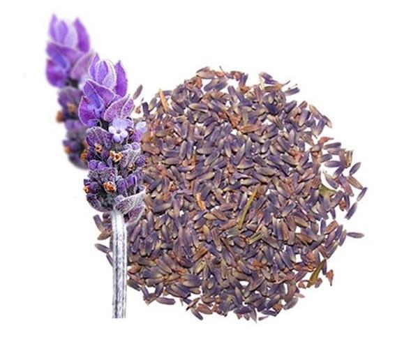 Como fazer sabonete de lavanda caseiro - Passo 2