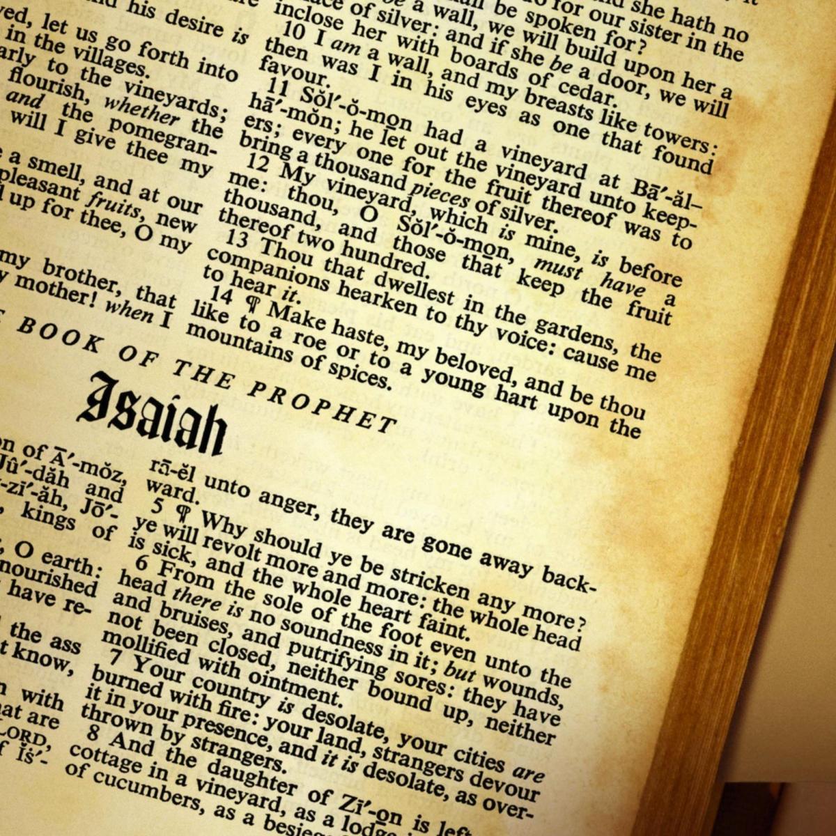 Como aprender as noções básicas de latim