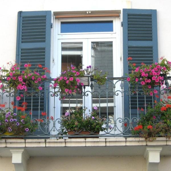Como decorar a varanda com plantas