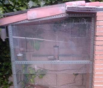 Como fazer uma gaiola para aves e pássaros - Passo 4