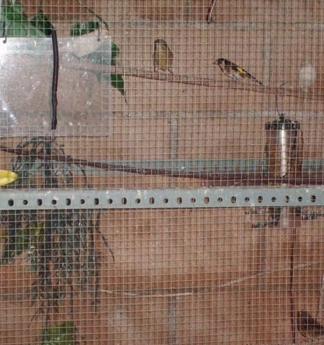 Como fazer uma gaiola para aves e pássaros - Passo 5