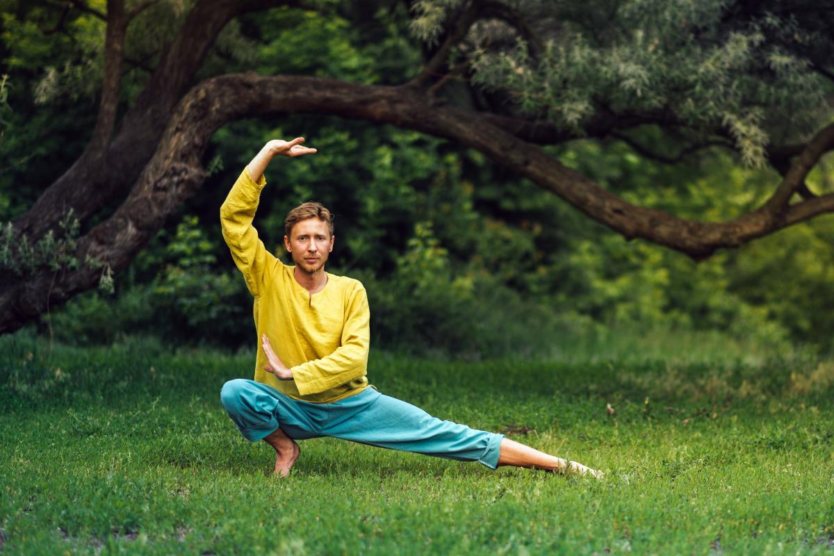 Wushu: o que é e em que consiste esta arte marcial