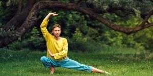 Wushu: o que é e em que consiste esta arte marcial