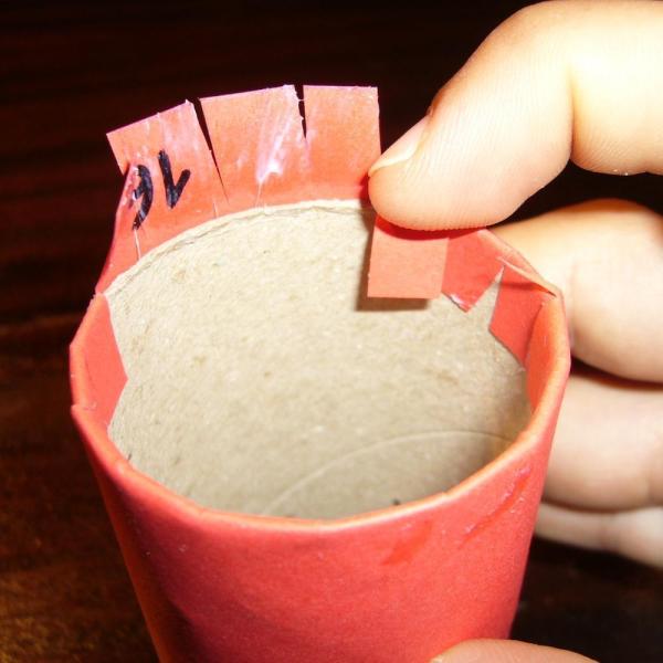 Como fazer um porta guardanapos com rolos de papel higiênico - Passo 5