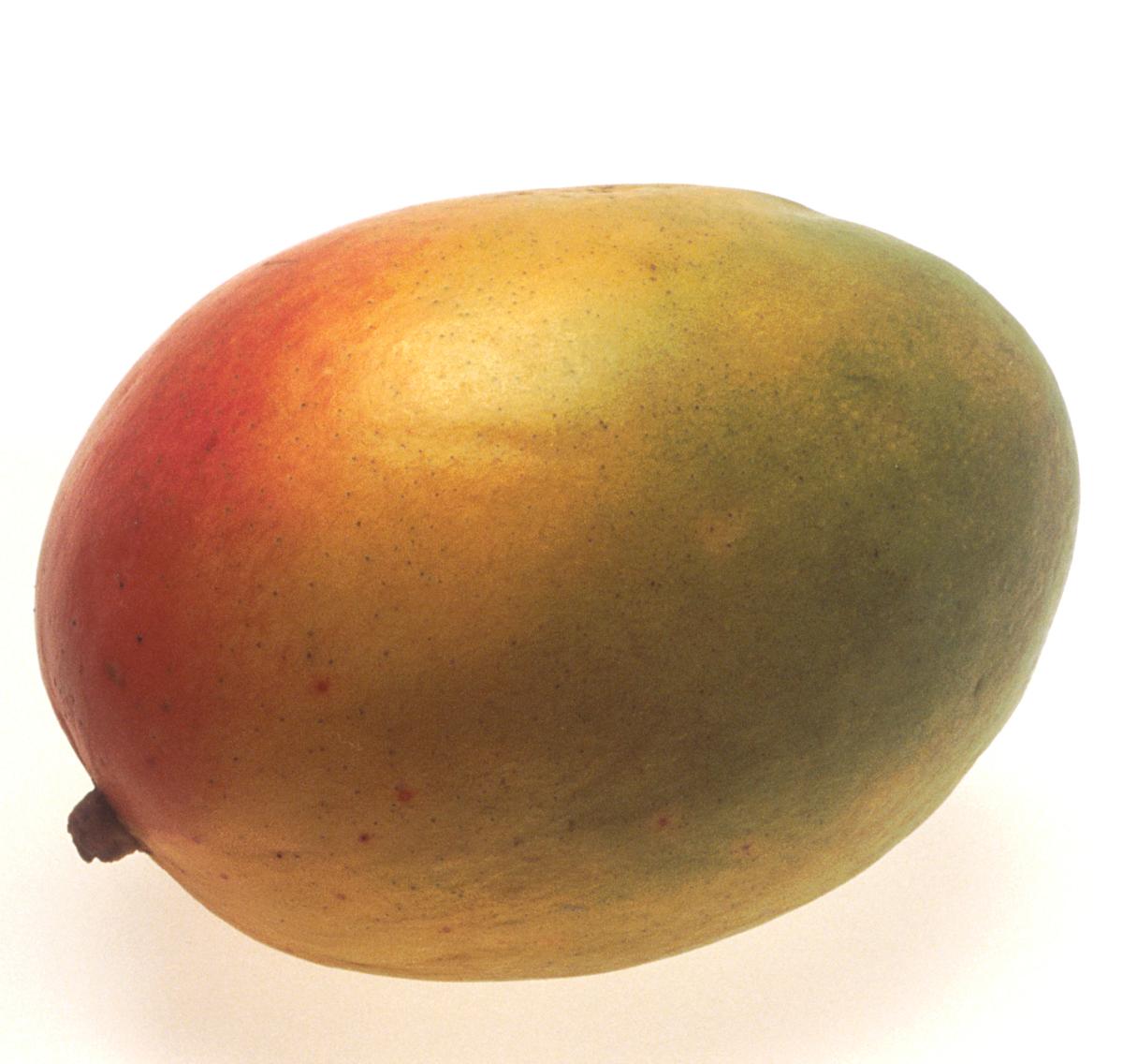 Quais são os tipos de manga mais comuns