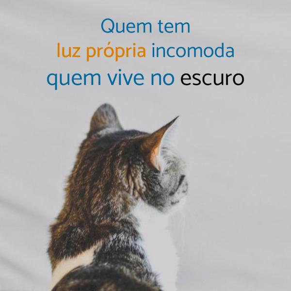 50 RESPOSTAS PARA INDIRETAS que você não vai querer ouvir - Frases de indiretas para pessoas falsas