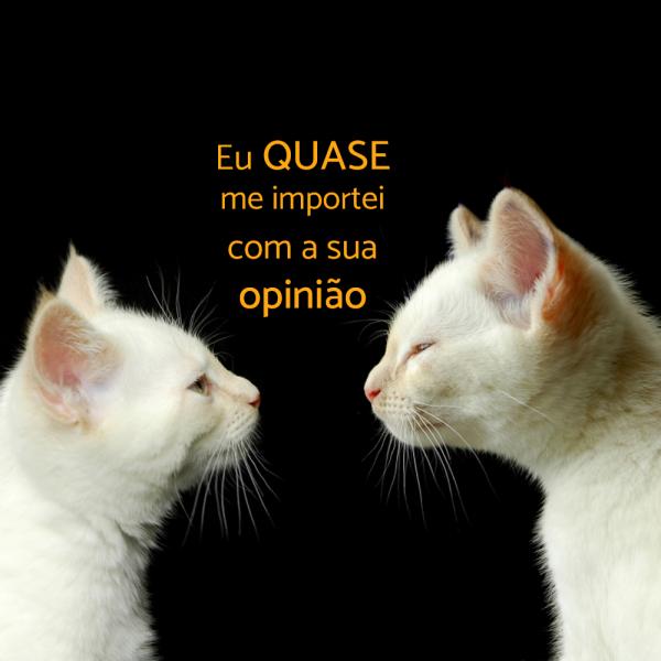 50 RESPOSTAS PARA INDIRETAS que você não vai querer ouvir - Respostas para patadas